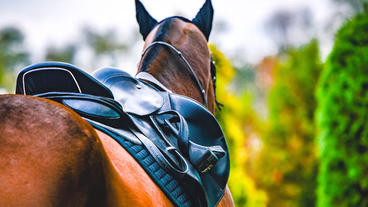 Choosing the Right Saddle for Your Horse