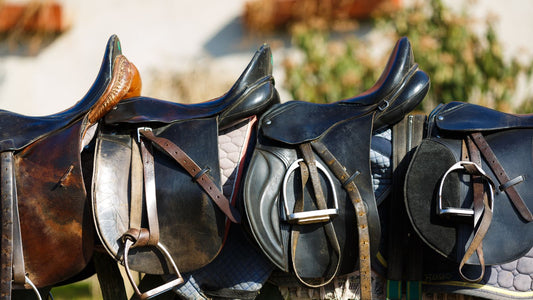 How to Clean and Care for Your Saddle